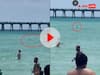 Beach Viral Video: बीच पर मस्ती कर रहे थे लोग... अचानक उनके पास आकर तैरने लगी शार्क, Video देख डर जाएंगे