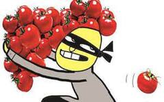 Tomatoes Price Today: લો કરો વાત, એક ખેતરમાંથી અઢી લાખ રૂપિયાના ટામેટાંની થઈ ચોરી, ખેડૂતે નોંધાવી FIR