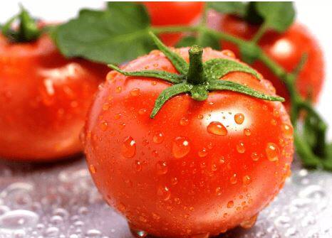 Tomato : महाराष्ट्रात टोमॅटोच्या दरात मोठी वाढ, दरात वाढ का होतोय?