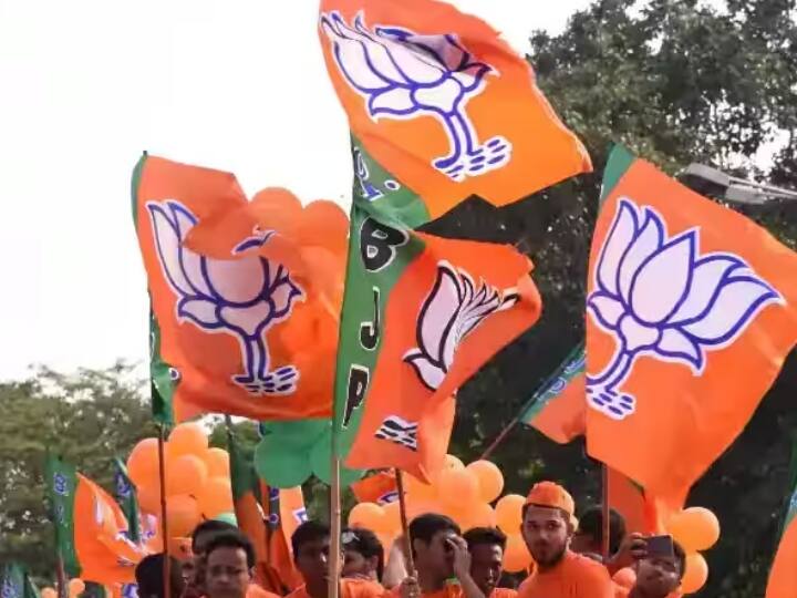 Gujarat Politics: Gujarat BJP declared in charge of six city and district organizations including Ahmedabad, know Gujarat Politics: ગુજરાત ભાજપે અમદાવાદ સહિત છ શહેર અને જિલ્લા સંગઠનના પ્રભારી કર્યા જાહેર, જાણો કોને મળ્યું સ્થાન