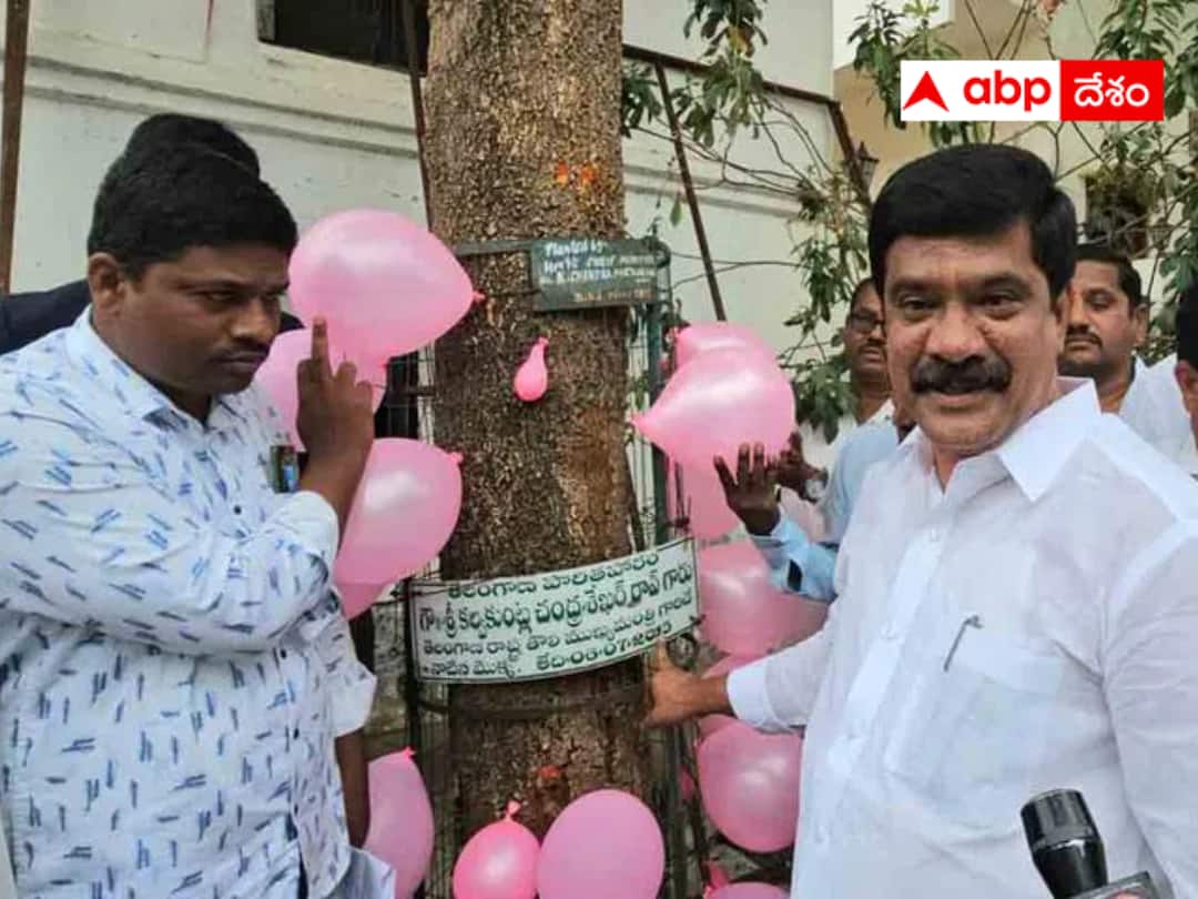 Minister Prashant Reddy celebrated the birthday of the tree. Telangana News: చెట్టుకు పుట్టిన రోజు వేడుకలు చేసిన మంత్రి - ఆ చెట్టు స్పెషాలిటీ ఏమిటంటే ?