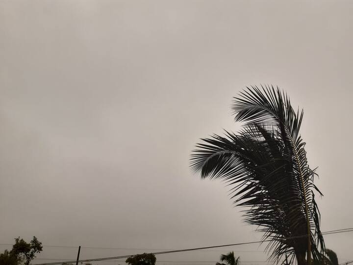 जिल्ह्यात जून महिन्याअखेर सरासरी 362.9 मिलिमीटर पाऊस झाला आहे.