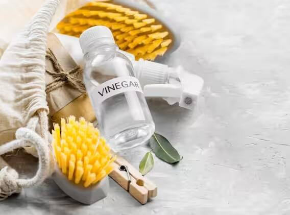 ચોમાસામા  કપડા ધુઓ ત્યારે  ડિટર્જન્ટ પાવડરની સાથે વિનેગરનો ઉપયોગ કરો, આમ કરવાથી તમારા કપડામાં દુર્ગંધ નહીં આવે. તેમજ  બેક્ટેરિયા વધવાનો પણ  કોઈ ભય રહેશે નહીં.