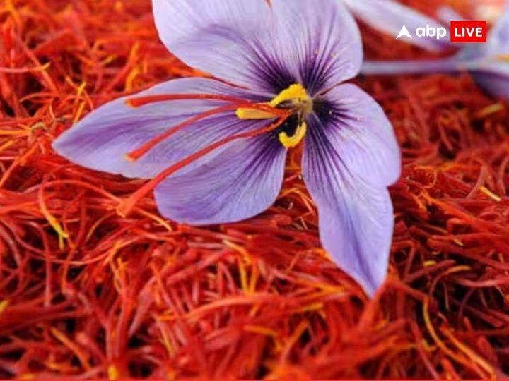 Kesar Price up Kashmiri Kesar Rates are surging ahead and providing huge money to Farmers Kesar Price: कश्मीरी केसर ने कीमत में चांदी को छोड़ा पीछे, दाम में हुआ है इतना इजाफा कि किसान हो रहे मालामाल