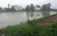 Gujarat Rain Forecast: આગામી ત્રણ દિવસ સૌરાષ્ટ્રના આ જિલ્લામાં  ભારે વરસાદની આગાહી