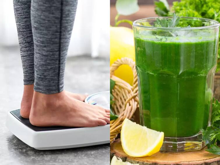 if you drink curry pata juice on empty stomach on morning its beneficial for weight loss Weight loss:  ફટાફટ વજન ઓછું કરવા ઇચ્છો છો? તો આ મેજિકલ નેચરલ ગ્રીન જ્યુસનું આ રીતે કરો સેવન