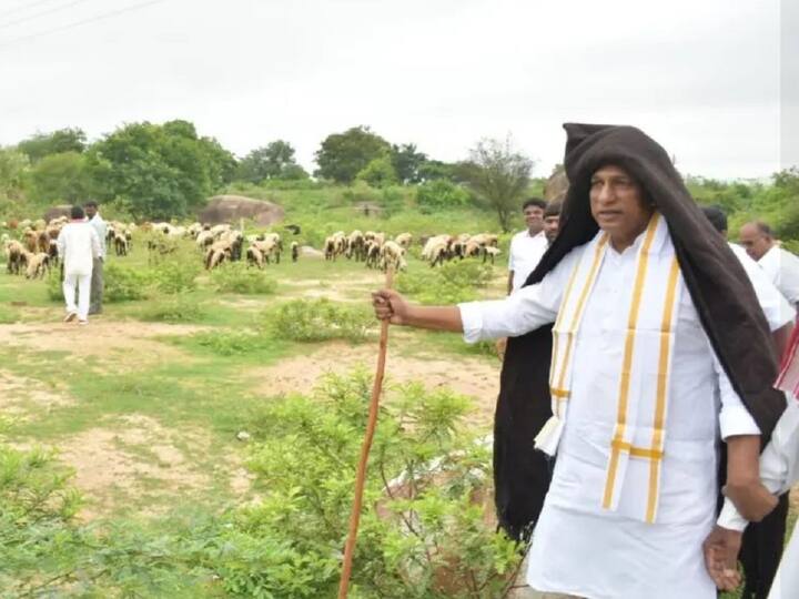 Minister Mallareddy Turned Shepherd in Goats Distribution At Medchal District Minister Mallareddy: గొర్రెల కాపరిగా మారిన మంత్రి మల్లారెడ్డి - తలపై గొంగడి, చేతిలో కర్రతో ఫొటోలకు ఫోజులు