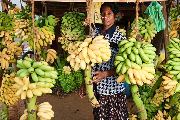 जगभरात केळीच्या 1000 पेक्षा जास्त जाती आहेत, ज्यांचे सुमारे 50 गटांमध्ये वर्गीकरण केलं आहे. (PC:istockphoto)