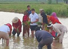 Rahul Gandhi: રાહુલ ગાંધીએ ખેતરમાં ચલાવ્યું ટ્રેક્ટર, ડાંગરની કરી રોપણી, જુઓ તસવીરો