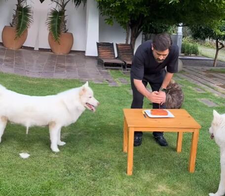 இந்நிலையில், நேற்று அவர் தனது பிறந்த நாள் கொண்டாட்டங்களில் ஒன்றாக தனது செல்லப் பிராணிகளுடன் இணைந்து கேக் வெட்டி பிறந்த நாள் கொண்டாடிய வீடியோவை தனது இன்ஸ்டாகிராம் பக்கத்தில் பதிவிட்டுள்ளார்.