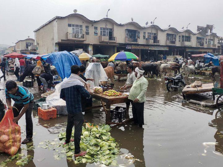 दिल्ली में सुबह से बारिश होने के कारण गाजीपुर सब्जी मंडी में भी पानी भर गया है. इससे खरीदारों और विक्रेता को मुश्किलें हो रही है. इस बीच न्यूज एजेंसी एएनआई से बात करते हुए आईएमडी दिल्ली के हेड चरण सिंह  ने कहा कि आने वाले हफ्ते में उत्तर और पश्चिम भारत में बारिश रहेगी.  दिल्ली में भी ये ही स्थिति रहेगी. उन्होंने कहा, '' मानसून का सीजन चल रहा है तो ऐसे में साफ कहना मुश्किल है, लेकिन आने वाले दो दिनों में ज्यादा बारिश हो सकती है.