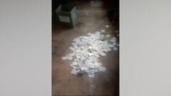 Panchayat Election 2023: পঞ্চায়েত নির্বাচনে বেলাগাম সন্ত্রাস, বুথে বুথে ছাপ্পা ভোটের অভিযোগ