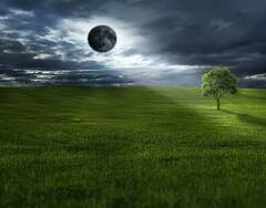 Aamas 2023:કુંડળીનો કાળસર્પ દોષ સફળતાથી રાખશે દૂર, ખાસ આ દિવસે આ છોડને વાવવાથી મળે છે મુક્તિ