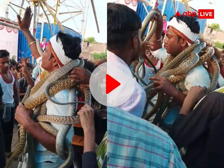 Man showing hanging snakes on his shoulder on nag panchami 2023 video viral Viral Video: गले में जहरीले सांपों को लटका कर करतब दिखा रहा यह शख्स, यह Video वाकई आपको डरा देगा