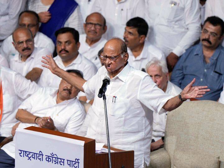 सर्वे में लोगों से सवाल किया गया कि आपके हिसाब से एनसीपी का असली प्रमुख कौन हैं? इस पर सबसे ज्यादा लोगों ने नाम पूर्व मुख्यमंत्री शरद पवार का लिया. सर्वे के मुताबिक, 66 फीसदी लोगों ने कहा कि शरद पवार एनसीपी के असली प्रमुख यानी अध्यक्ष हैं.