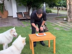 MS Dhoni Birthday: இணையத்தை கலக்கும் தோனியின் பிறந்தநாள் கொண்டாட்ட வீடியோ!