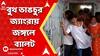 Panchayat Election: জ্যাংড়ায় বুথের মধ্যে ভাঙচুর, জঙ্গলে ফেলে দেওয়া হল ব্যালট বাক্স