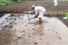 Rain : आज राज्यातील काही भागात ऑरेंज अलर्ट, तर कुठं यलो अलर्ट