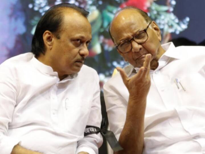 ABP News C Voter Survey On NCP Crisis survey on is sharad pawar behind what ajit pawar did Maharashtra Political Updates ABP C Voter Survey: अजित पवारांच्या बंडामागे थोरल्या पवारांचाच हात? सर्वेक्षणाचा धक्कादायक निष्कर्ष, लोकांचं मत अजुनही...