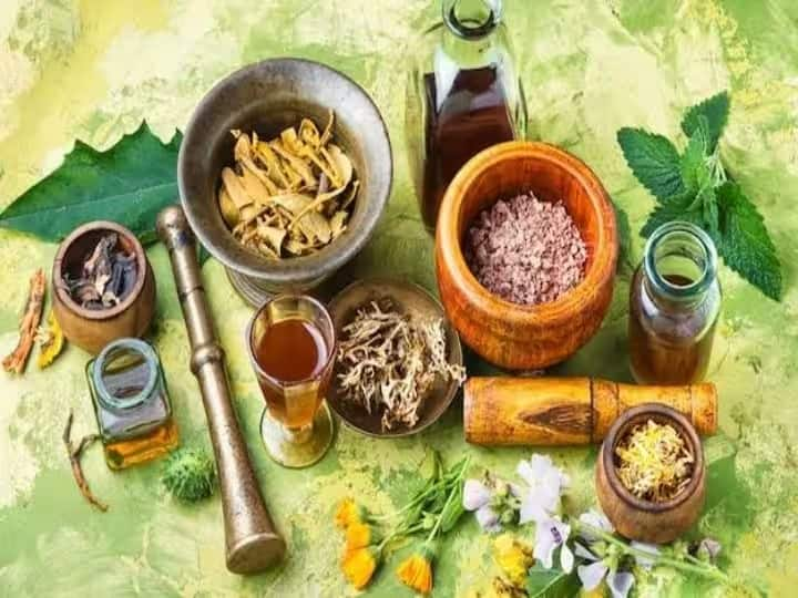 fitness-tips-ayurvedic-herbs-for-physical-and-mental-health-in-monsoon Health Tips : 'या' आयुर्वेदिक औषधी वनस्पती तुम्हाला अनेक आजारांपासून दूर ठेवतील; रोज सेवन करा, काही दिवसांतच फरक जाणवेल