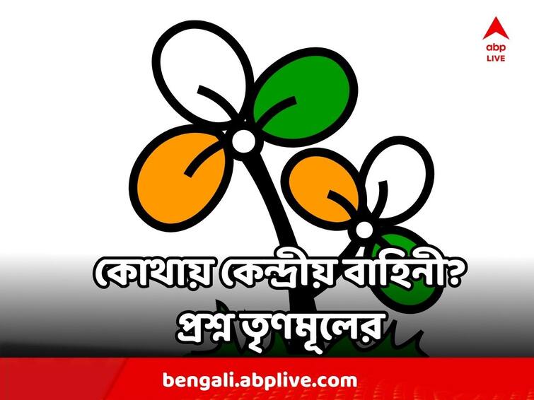 Panchayat Poll 2023 Live TMC Blames Central Force In Tweet for multiple death Of TMC workers Panchayat Poll 2023 : ভোটারদের মধ্যে শকওয়েভ, কোথায় কেন্দ্রীয় বাহিনী? ট্যুইটে প্রশ্ন তৃণমূলের