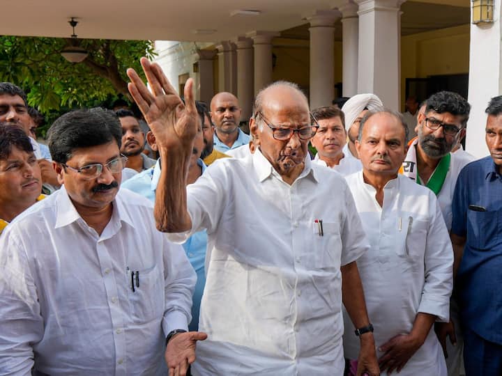 'All Rebels Will Be Disqualified': Sharad Pawar On Nephew Ajit Pawar's NCP Rebellion 'All Rebels Will Be Disqualified': Sharad Pawar On Nephew Ajit Pawar's NCP Rebellion