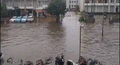 Rain Photo: વિજાપુરમાં રસ્તાઓ બન્યા નદી, જુઓ રાજ્યમાં થયેલા જળબંબાકારની તસવીરો