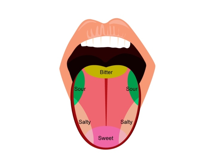 कभी सोचा है कड़वा स्वाद थोड़ी देर से क्यों आता है? समझिए टेस्ट को कैसे पहचानती है आपकी जीभ