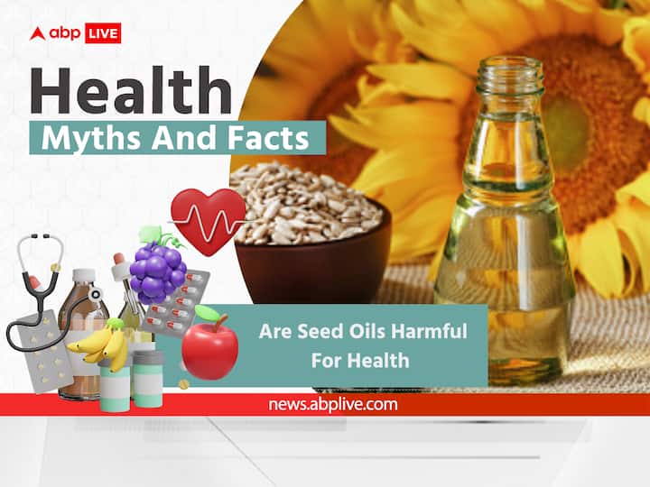 Seed Oils Harmful For Health Vegetable Oils Contain Omega-6-Fatty Acid Olive Oil Is Better Option Health Myths And Facts: Are Seed Oils Harmful For Health? See What Experts Say