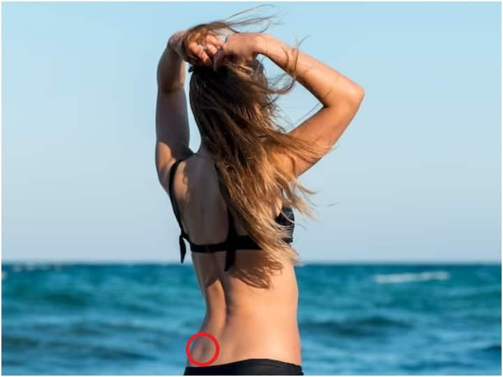 Dimples Of Venus: आपने देखा होगा कुछ लड़कियों और लड़कों के कमर पर दो छोटे गड्ढे से होते हैं. क्या आप जानते हैं ये किस वजह से होते हैं और उन्हें क्या कहा जाता है.