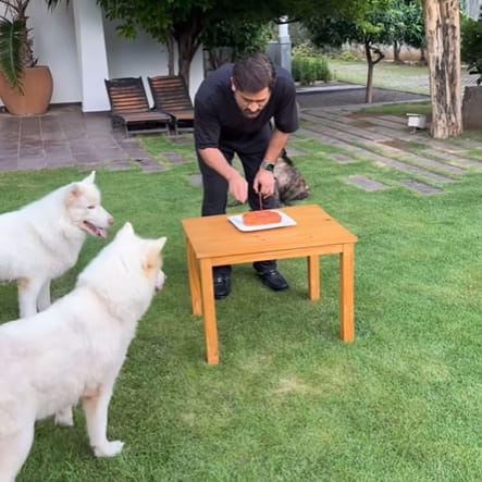 நீண்ட நாட்களுக்கு பிறகு இன்ஸ்டா பக்கத்தில் தோனி இந்த வீடியோவை பதிவிட்டதால் ரசிகர்கள் குஷியாகி உள்ளனர்.