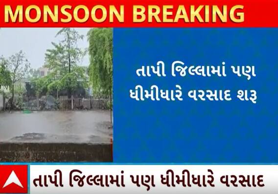 Tapi Rain | વહેલી સવારથી જિલ્લામાં વરસાદ ખાબકતા ખેડૂતોમાં આનંદો, જુઓ વીડિયો