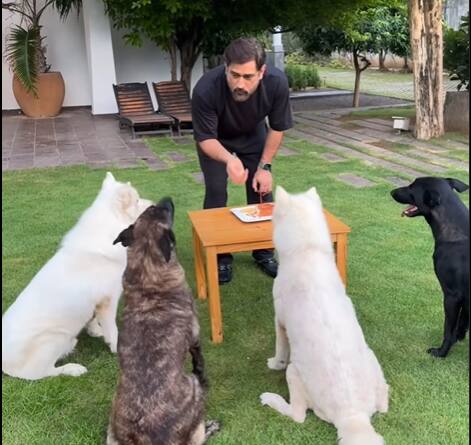 இதற்கு ரசிகர்கள் லைக்குகளையும் கமெண்டுகளையும் வாரி வழங்கி வருகின்றனர்.