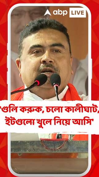 Panchayat Elections 2023: 'গুলি করুক, চলো কালীঘাট, ইটগুলো খুলে নিয়ে আসি', হুঙ্কার শুভেন্দুর