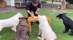 MS Dhoni: ਮਹਿੰਦਰ ਸਿੰਘ ਧੋਨੀ ਨੇ ਆਪਣੇ ਡੌਗੀ ਨਾਲ ਮਨਾਇਆ ਜਨਮਦਿਨ, ਸੋਸ਼ਲ ਮੀਡੀਆ 'ਤੇ ਅੱਗ ਵਾਂਗ ਵਾਇਰਲ ਹੋਇਆ ਵੀਡੀਓ