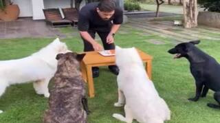 MS Dhoni: ਮਹਿੰਦਰ ਸਿੰਘ ਧੋਨੀ ਨੇ ਆਪਣੇ ਡੌਗੀ ਨਾਲ ਮਨਾਇਆ ਜਨਮਦਿਨ, ਸੋਸ਼ਲ ਮੀਡੀਆ 'ਤੇ ਅੱਗ ਵਾਂਗ ਵਾਇਰਲ ਹੋਇਆ ਵੀਡੀਓ