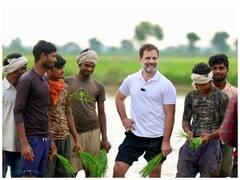 Rahul Gandhi News: 'ब्रांड इमेज' बनाने में जुटे राहुल गांधी, तस्वीरों से समझिए उनके भविष्य की सियासत