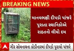 Gir Somnath | મહિલાને ફાડી ખાનાર ખુંખાર દીપડો પુરાયો પાંજરે, લોકોએ લીધો રાહતનો શ્વાસ