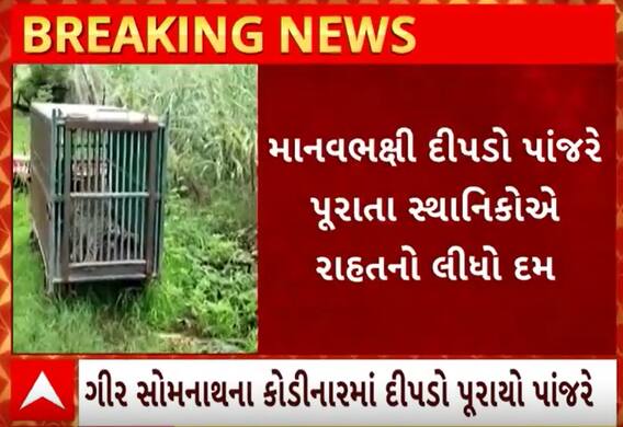 Gir Somnath | મહિલાને ફાડી ખાનાર ખુંખાર દીપડો પુરાયો પાંજરે, લોકોએ લીધો રાહતનો શ્વાસ