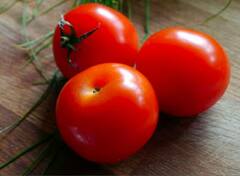 ਭਾਰਤ ਦੇ ਇਸ ਸੂਬੇ 'ਚ ਵਿਕ ਰਿਹਾ ਸਭ ਤੋਂ ਮਹਿੰਗਾ ਟਮਾਟਰ, ਕੀਮਤ ਸੁਣ ਕੇ ਉੱਡ ਜਾਣਗੇ ਹੋਸ਼