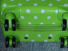 इस देश में ट्रॉली बैग इस्तेमाल करने पर लगा है बैन, ऐसा किया तो लगता है भारी-भरकम जुर्माना!