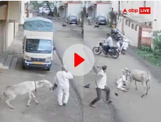 Viral Video: ਗਧੇ ਨੇ ਬਜ਼ੁਰਗ 'ਤੇ ਹਮਲਾ ਕਰ ਕੇ ਕੀਤਾ ਲਹੂ-ਲੁਹਾਨ... ਜਾਨਲੇਵਾ ਹਮਲੇ ਵੀਡੀਓ ਸੋਸ਼ਲ ਮੀਡੀਆਂ 'ਤੇ ਵਾਇਰਲ