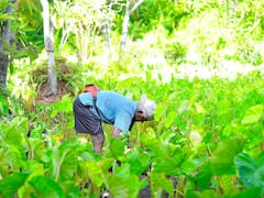 వ్యవసాయ రంగంలో 'ప్రైవేటు'కు నీతి ఆయోగ్‌ సపోర్ట్‌!