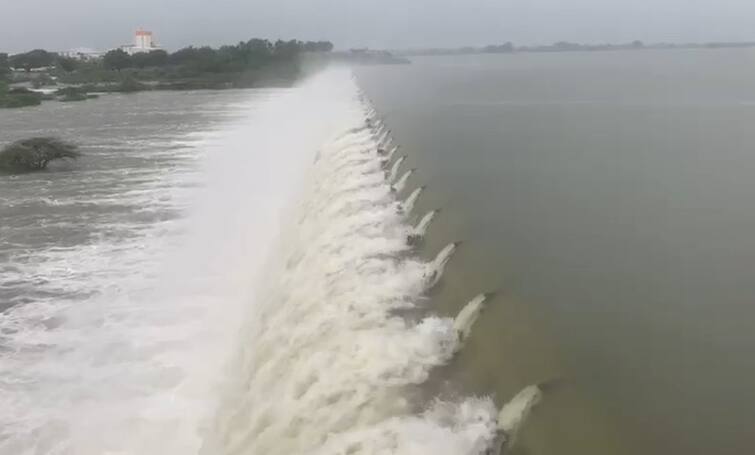 Gujarat Rain Gondal's Vari Lake overflows Gujarat Rain: વેરી તળાવ ઓવરફલો નીચાણવાળા ગામોને કરાયા એલર્ટ,અનેક નદીઓ બની ગાંડીતુર