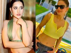 25 सालों से काम नहीं मिला तो कड़वाहट से भर गई हैं अमीषा पटेल ?'गदर'एक्ट्रेस के वायरल वीडियो पर बुरी तरह भड़कीं Uorfi Javed