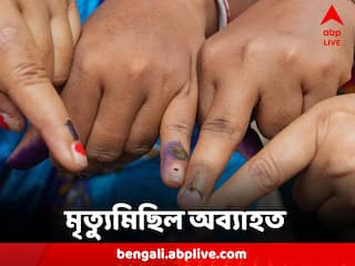 Panchayat Election 2023: রক্তস্নাত ২০২৩-এর পঞ্চায়েত নির্বাচন, শুধু ভোটের দিনই নিহত ১৫