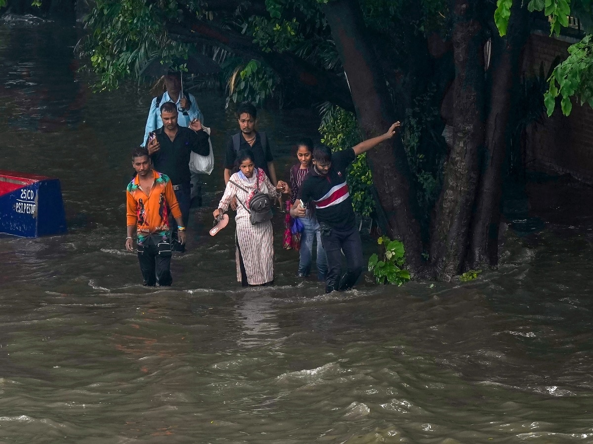 Gujarat Rain: રાજ્યમાં વરસાદથી કેટલા ગામોમાં ખોરવાયો વિજ પુરવઠો, કેટલા રસ્તા છે બંધ, જાણો