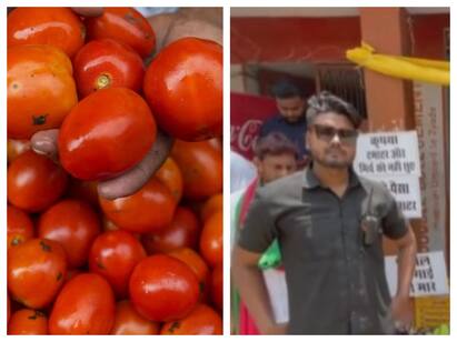 A vegetable vendor in Varanasi Uttar pradesh has hired bouncers viral video Tomato Bouncer: தங்கம் போல காஸ்ட்லியான தக்காளி.. பாதுகாப்பிற்காக பவுன்சர்களை நிற்க வைத்த வியாபாரி..! வைரல் வீடியோ உள்ளே..!