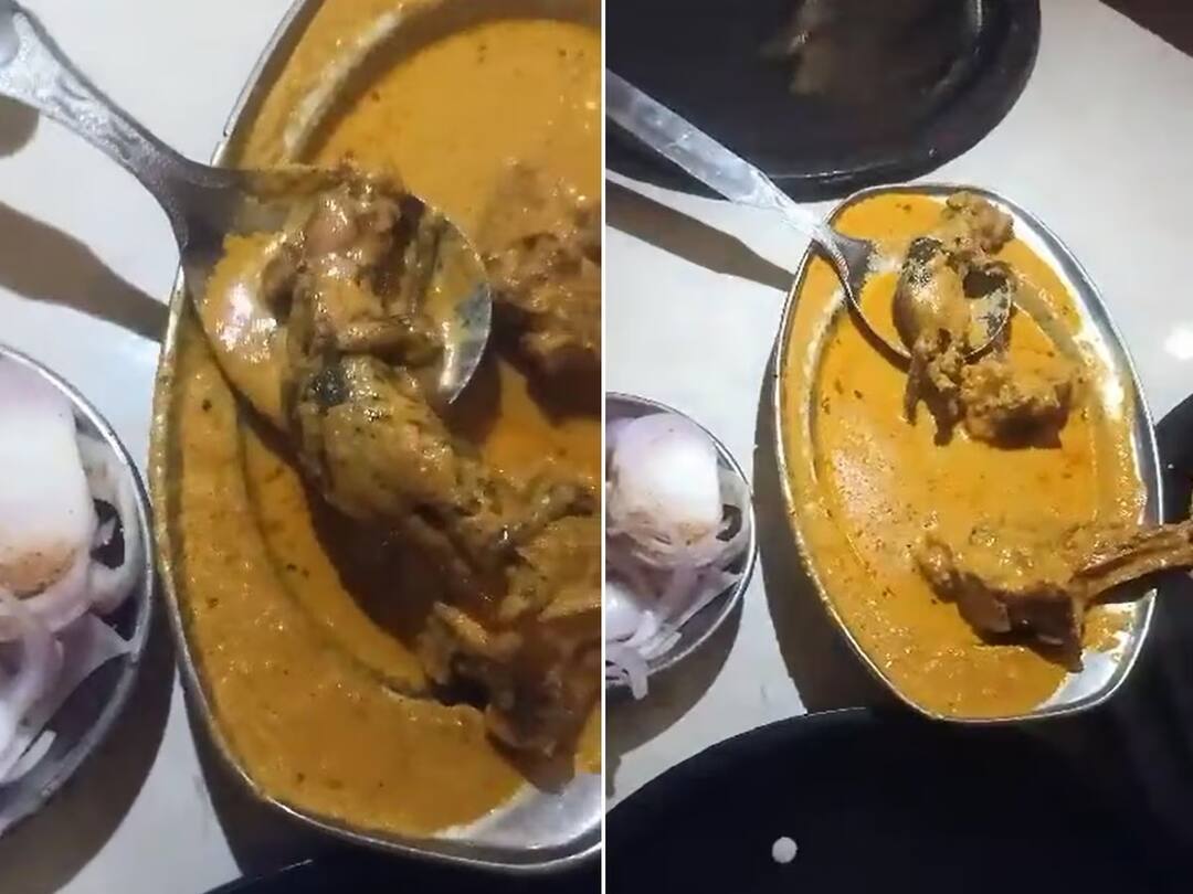 किळसवाणा प्रकार! ढाब्यावरील जेवणात आढळला मेलेला उंदीर; नेटकऱ्यांकडून संताप व्यक्त dead rat found in chicken curry customer start shouting video viral किळसवाणा प्रकार! ढाब्यावरील जेवणात आढळला मेलेला उंदीर; नेटकऱ्यांकडून संताप व्यक्त