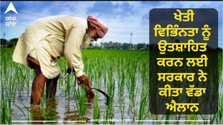 Good news for farmers! The government made a big announcement to promote agricultural diversification ਕਿਸਾਨਾਂ ਲਈ ਖੁਸ਼ਖਬਰੀ! ਖੇਤੀ ਵਿਭਿੰਨਤਾ ਨੂੰ ਉਤਸ਼ਾਹਿਤ ਕਰਨ ਲਈ ਸਰਕਾਰ ਨੇ ਕੀਤਾ ਵੱਡਾ ਐਲਾਨ, ਵੱਖ-ਵੱਖ ਪ੍ਰਾਜੈਕਟਾਂ ਲਈ ਦਿੱਤੀ ਗਈ ਸਬਸਿਡੀ